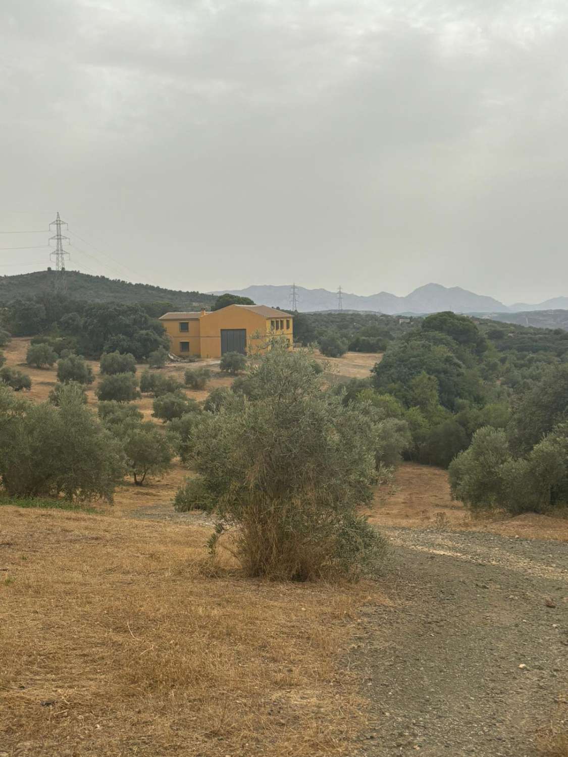 Industriale in affitto a Archidona