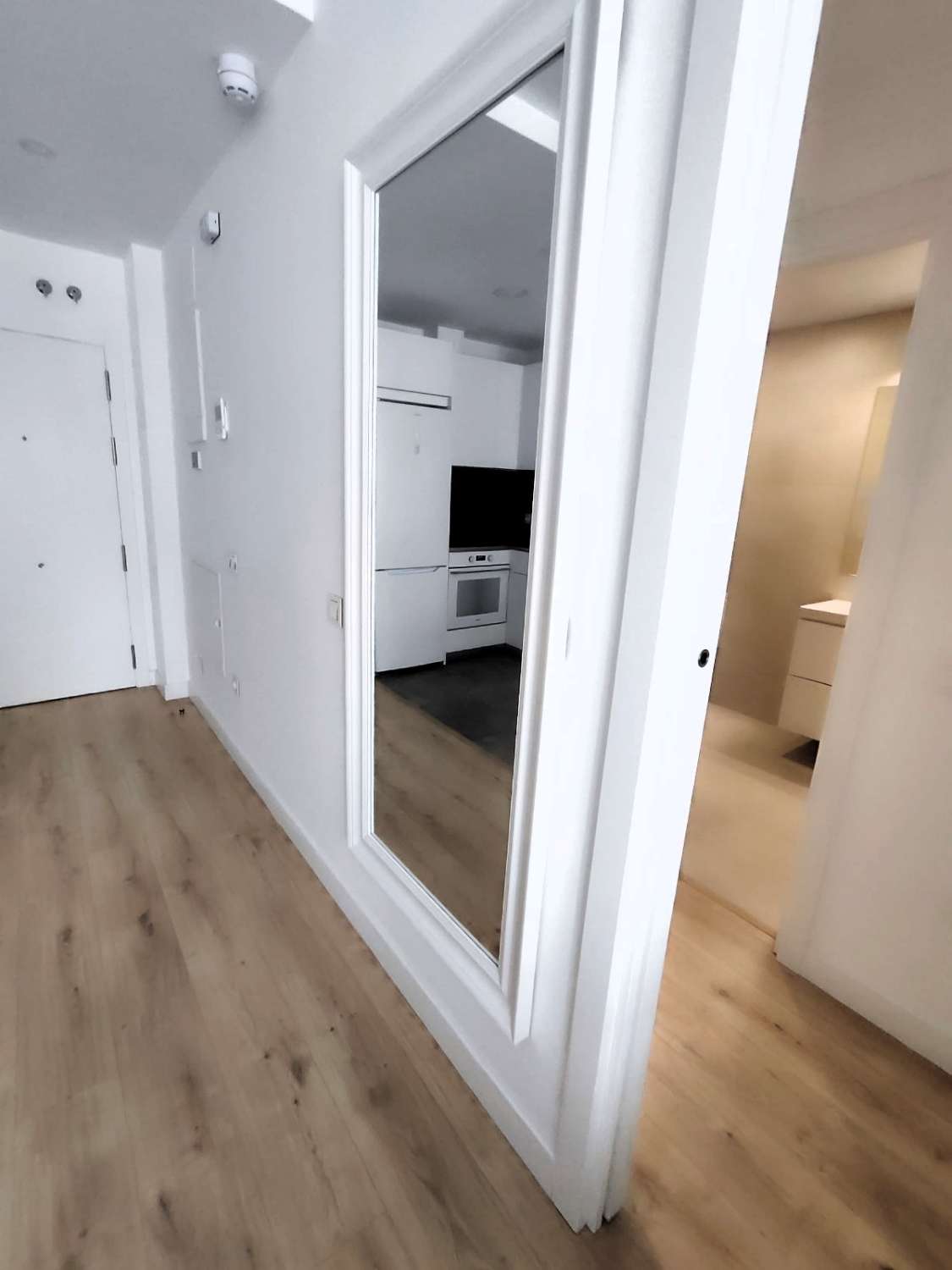 Apartment for rent in Málaga